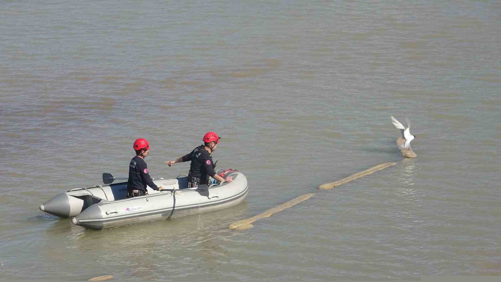 Antalya itfaiyesinden film gibi martı kurtarma operasyonu
