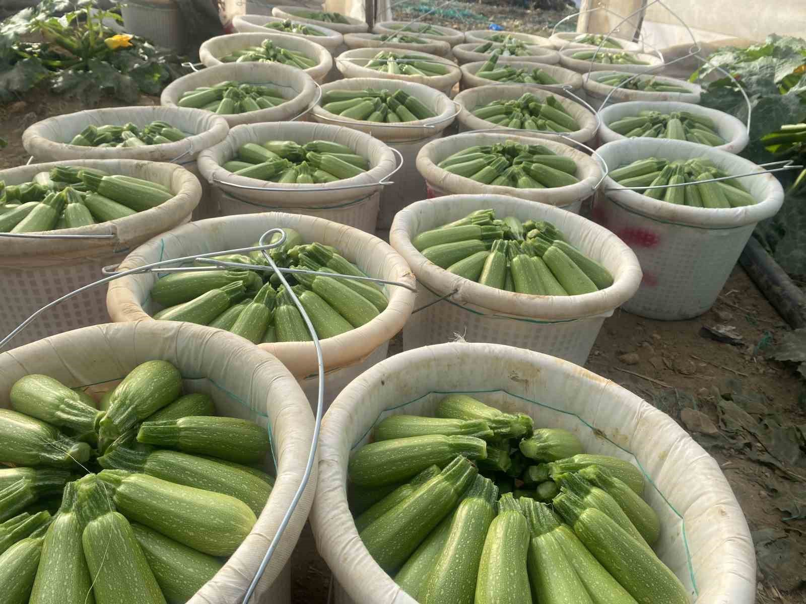 Antalya Ticaret Borsası, aralık ayı hal endeksini açıkladı: "Meyvede fiyat arttı, sebzede geriledi"
