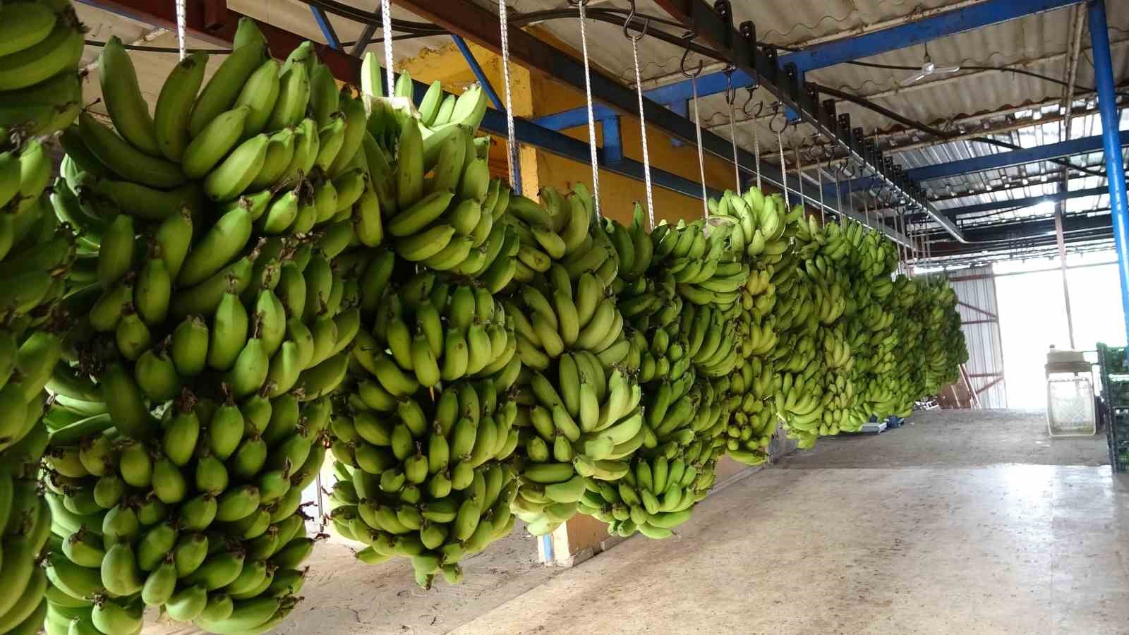 Antalya Ticaret Borsası, aralık ayı hal endeksini açıkladı: "Meyvede fiyat arttı, sebzede geriledi"
