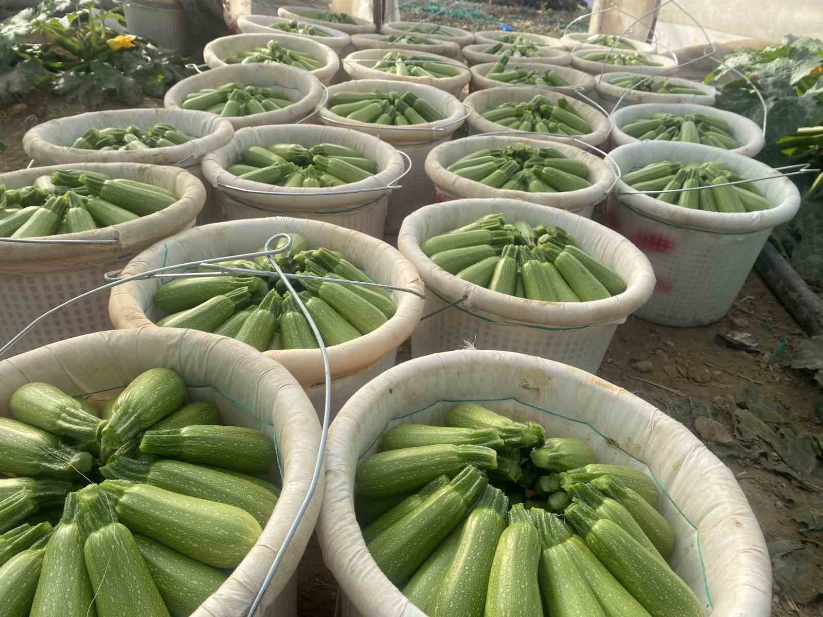 Antalya Ticaret Borsası, Ocak ayı hal endeksini açıkladı
