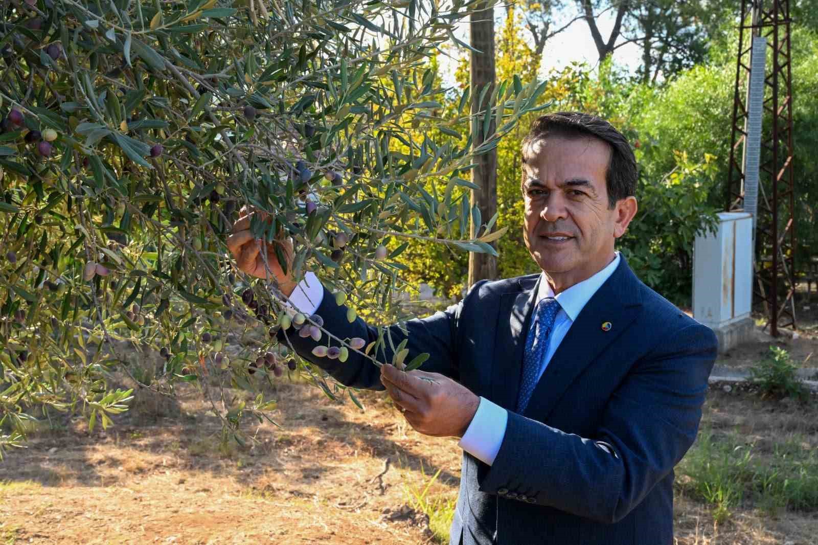 Antalya zeytinyağını markalaştıracak 30 öneri
