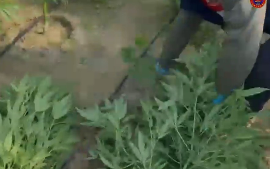 Antalya’da 23,9 kilo uyuşturucu madde ele geçirildi
