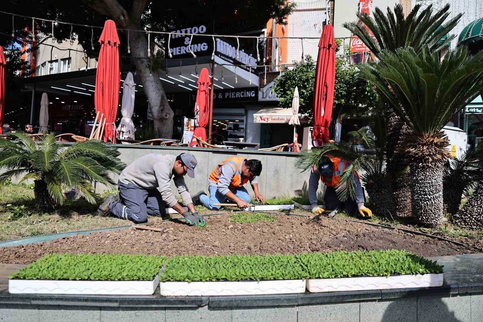 Antalya’da bahar hazırlığı: 4 milyon çiçek toprakla buluşuyor
