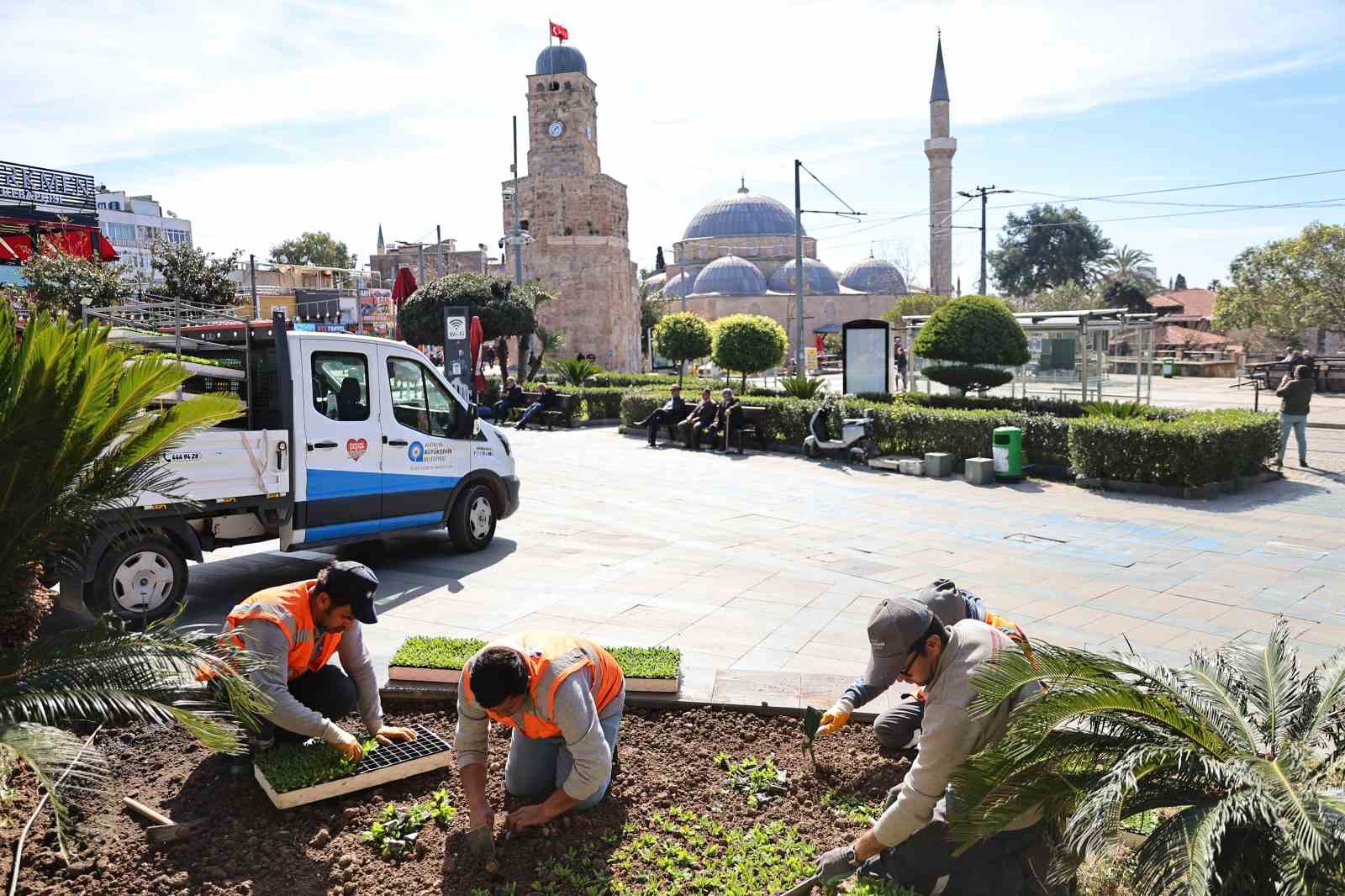Antalya’da bahar hazırlığı: 4 milyon çiçek toprakla buluşuyor
