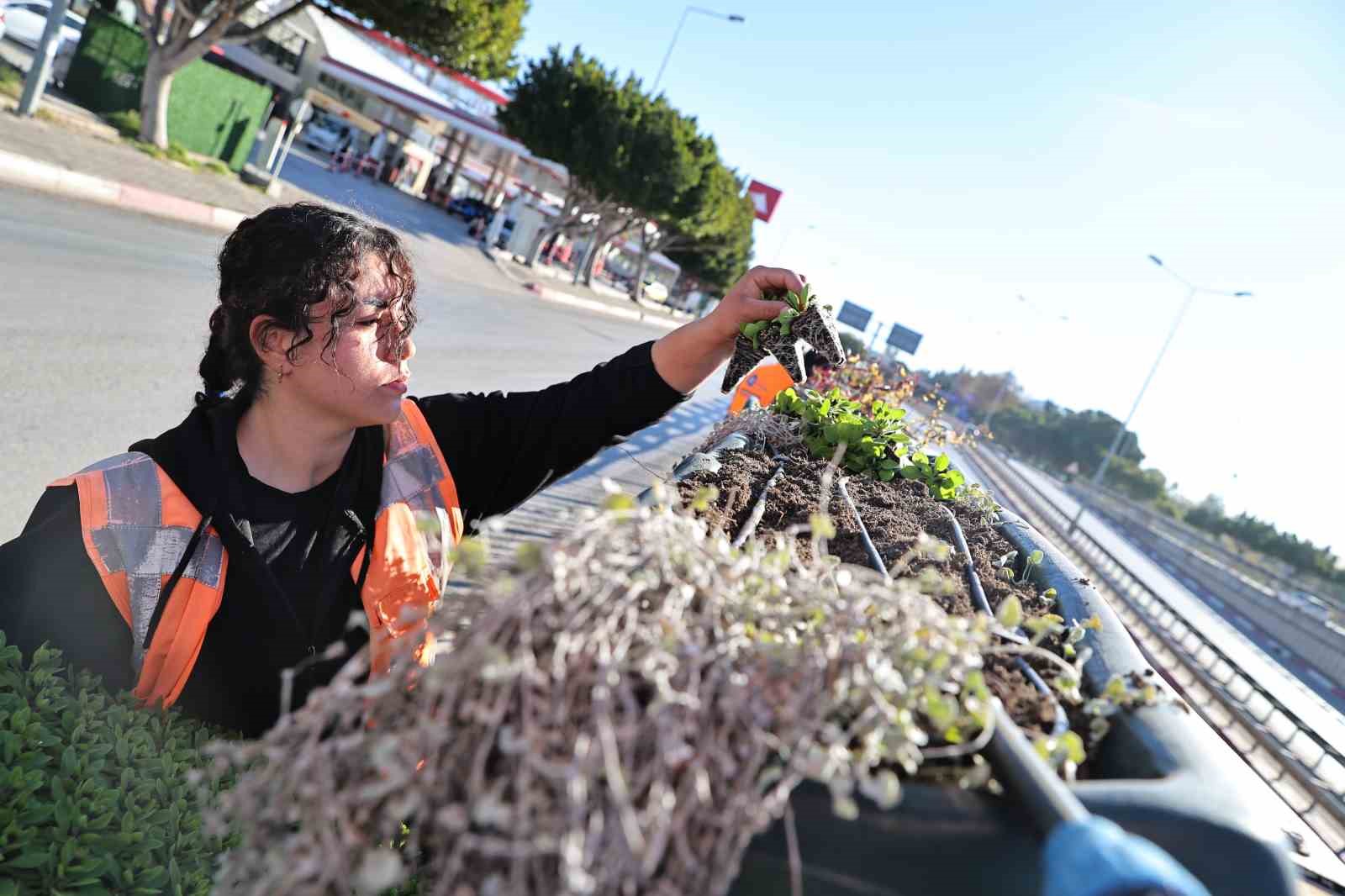 Antalya’da bahar hazırlığı: 4 milyon çiçek toprakla buluşuyor
