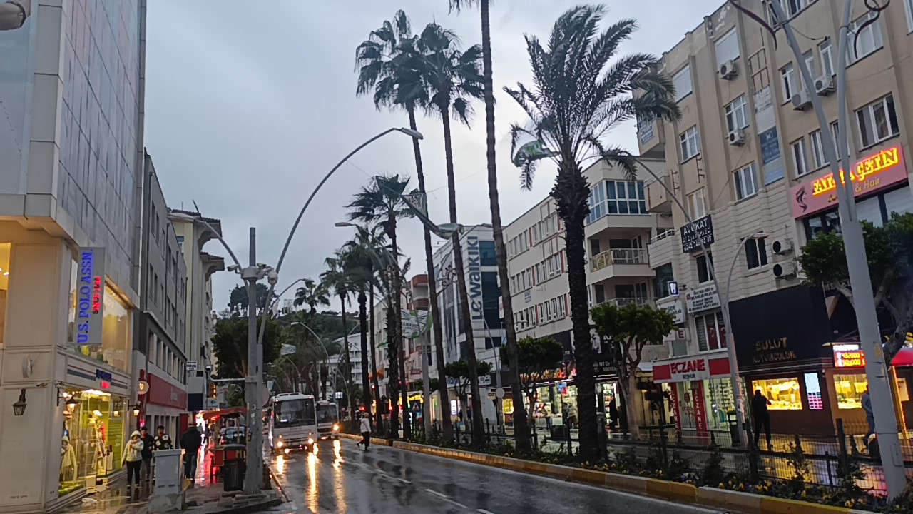 Antalya’da fırtına palmiye ağacını ikiye böldü
