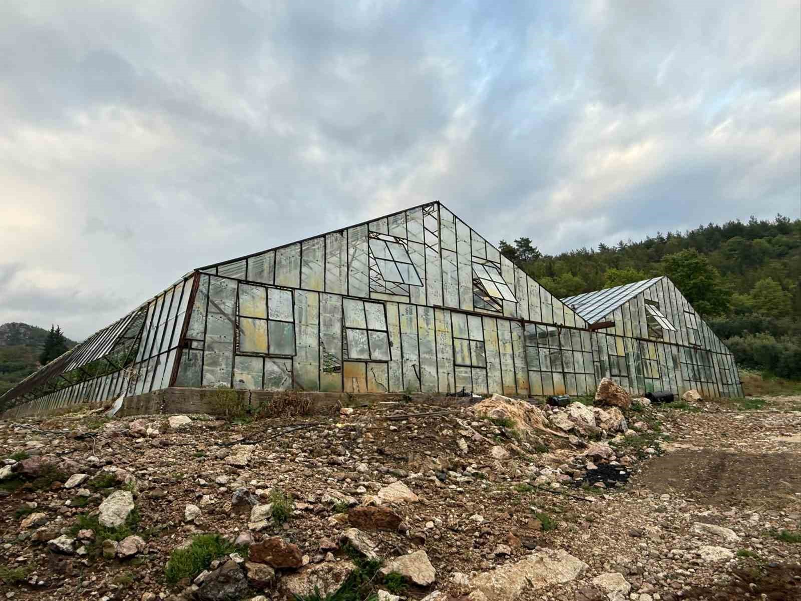 Antalya’da  kış karpuzu hasadı için geri sayım başladı
