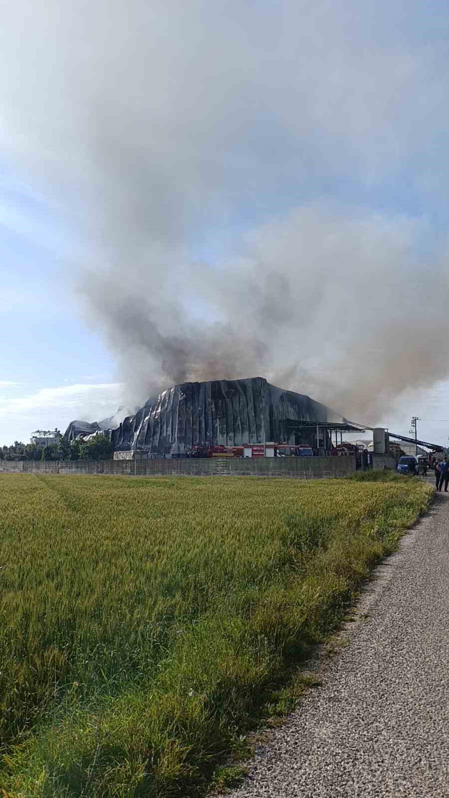 Antalya’da patates üretim tesisinde yangın
