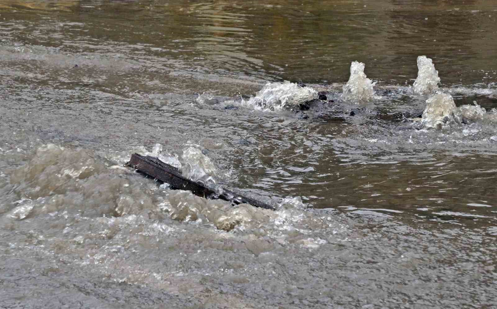 Antalya’da ’Sarı Kod’ uyarısı: Rögarlar taştı, telef olmuş dana kıyıya vurdu
