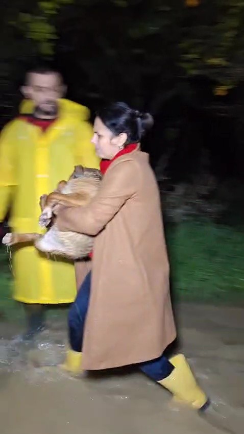 Antalya’da sel sularının bastığı barınakta mahsur kalan 27 köpek botlarla kurtarıldı
