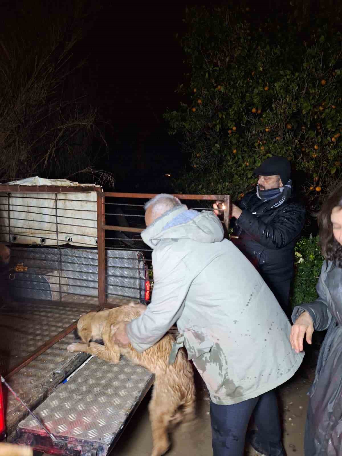 Antalya’da sel sularının bastığı barınakta mahsur kalan 27 köpek botlarla kurtarıldı
