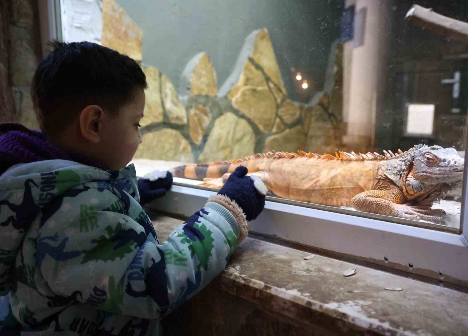 Antalya’da soğuğa hassas olan hayvanlara sıcak önlemler
