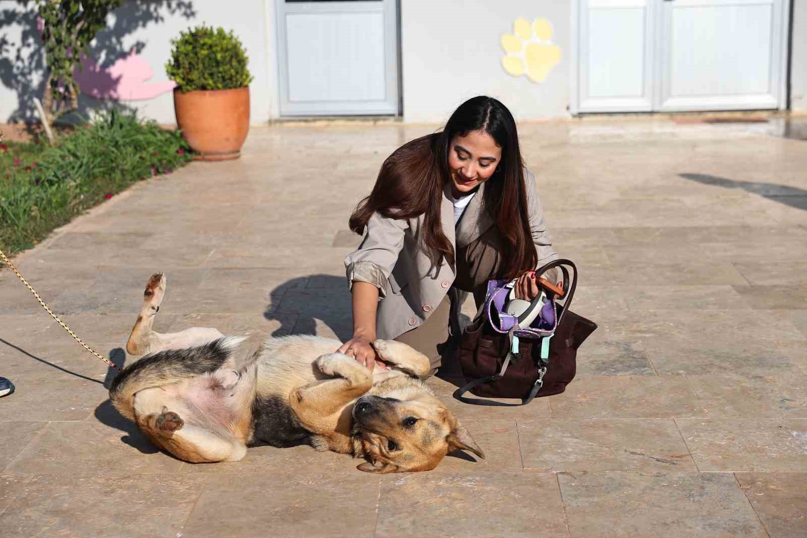 Antalya’da sokak hayvanları yeni sahiplerini bekliyor
Antalya’da sokak hayvanları yeni sahiplerini bekliyor