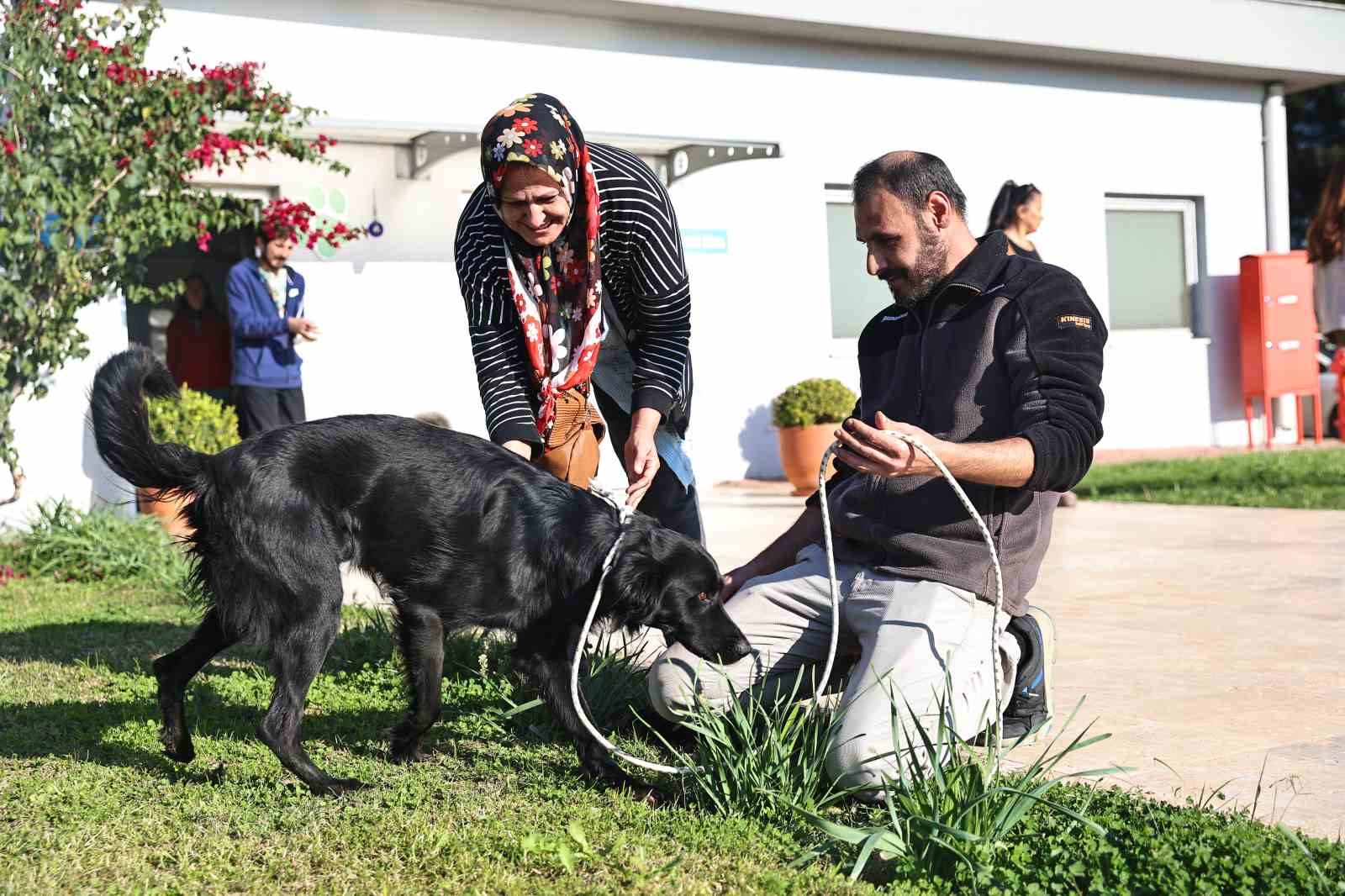 Antalya’da sokak hayvanları yeni sahiplerini bekliyor
Antalya’da sokak hayvanları yeni sahiplerini bekliyor