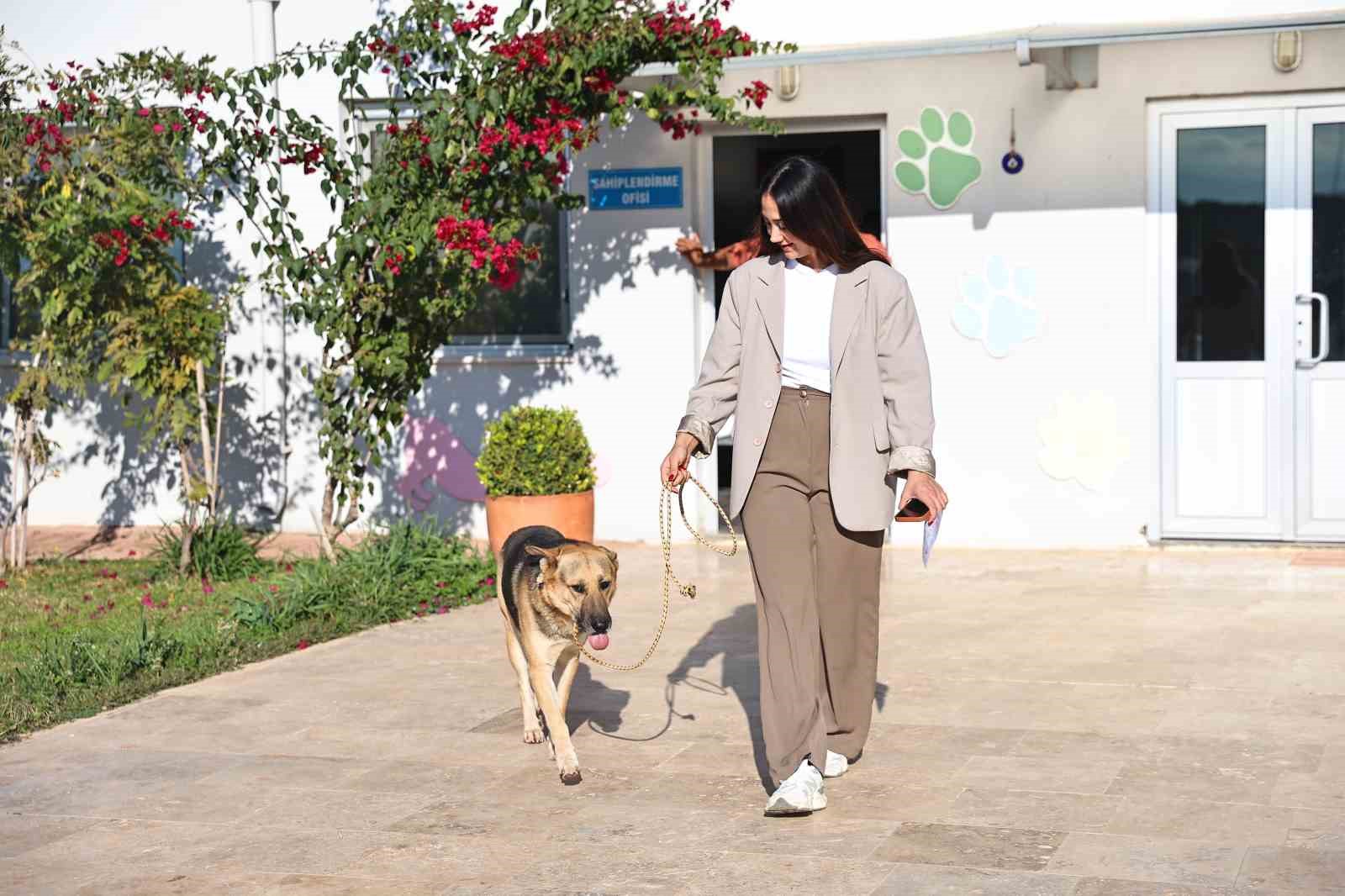 Antalya’da sokak hayvanları yeni sahiplerini bekliyor
Antalya’da sokak hayvanları yeni sahiplerini bekliyor