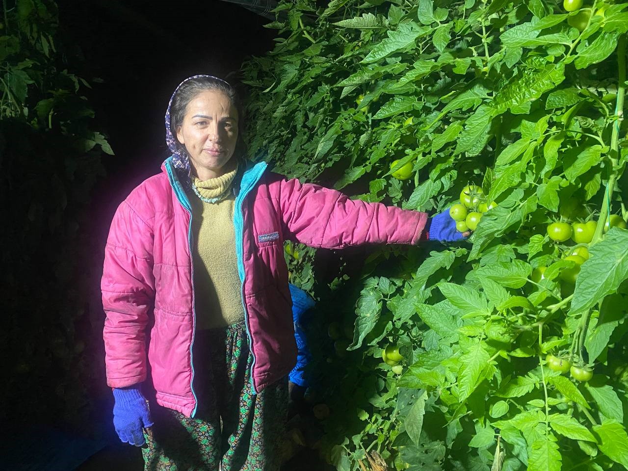 Antalya’da üretici don nöbetinde
Antalya’da üretici don nöbetinde