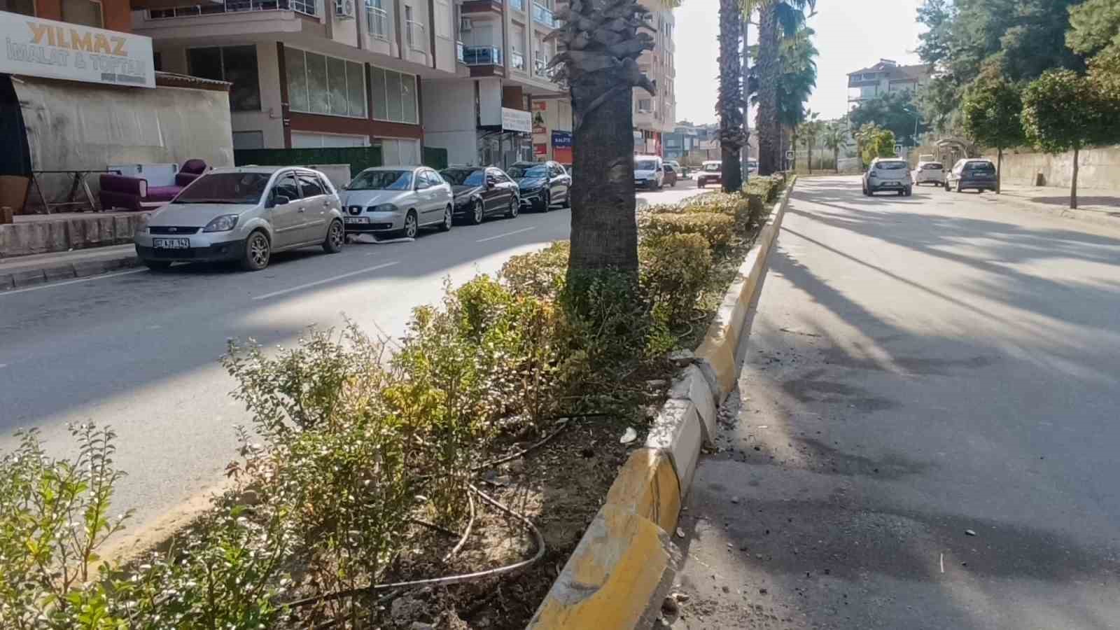 Antalya’da virajı alamadı, palmiye ağacına çarptı
