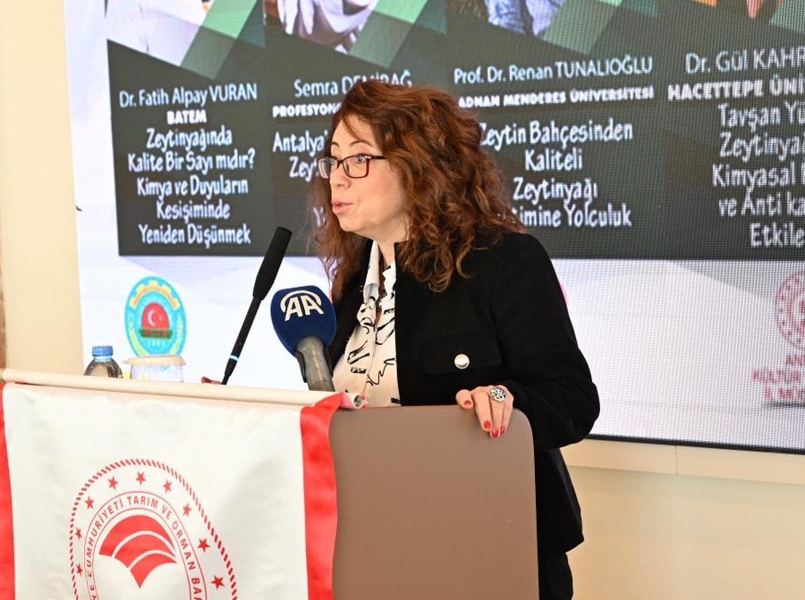 Antalya’da zeytinlik alan 20 yılda 2 katına çıktı
