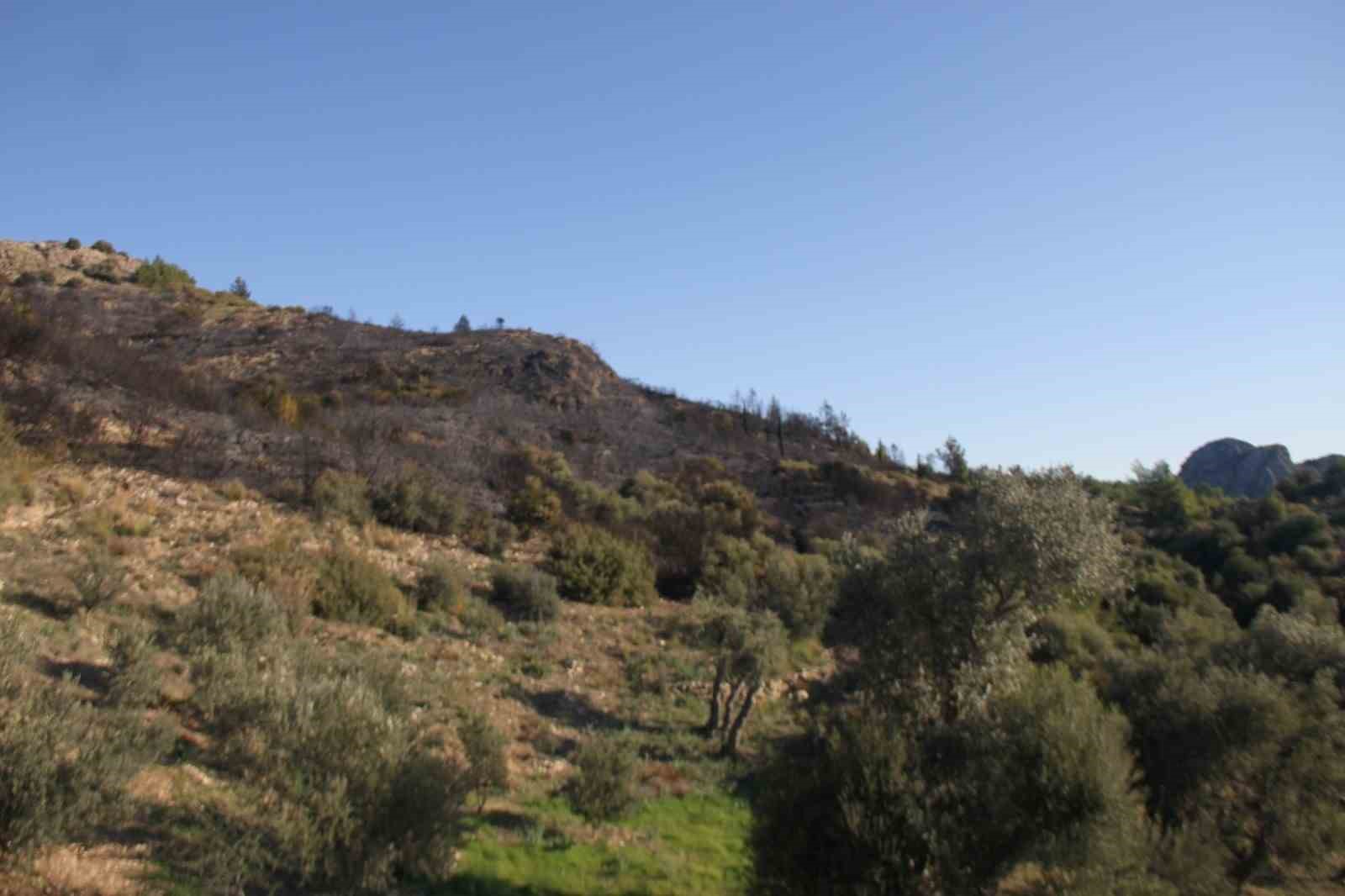 Antalya’daki orman yangınında zararın boyutu gündüz ortaya çıktı: 2 hektar zarar gördü
