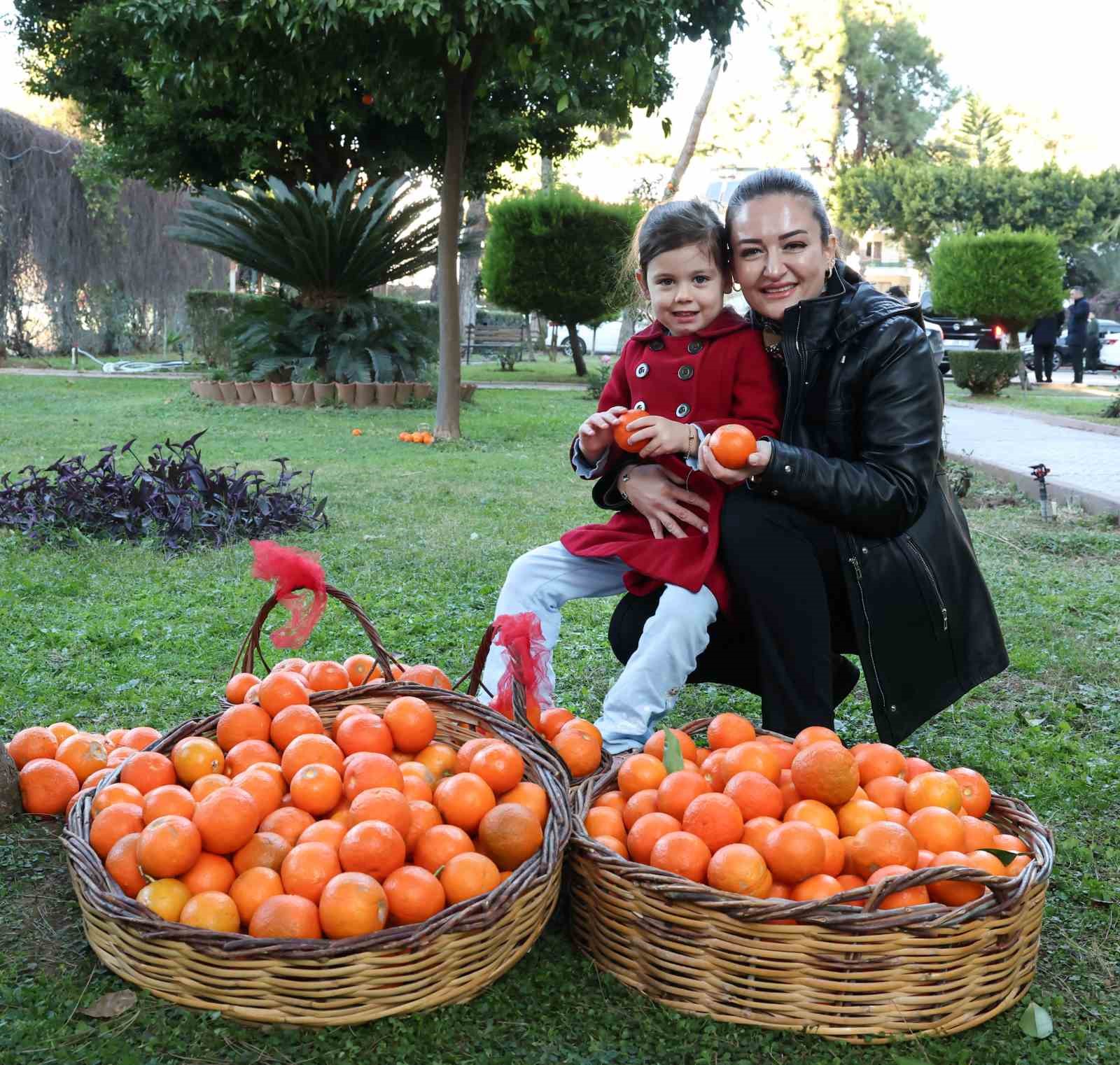 Antalya’nın turunçları Korkuteli’nden sofralara uzanıyor
