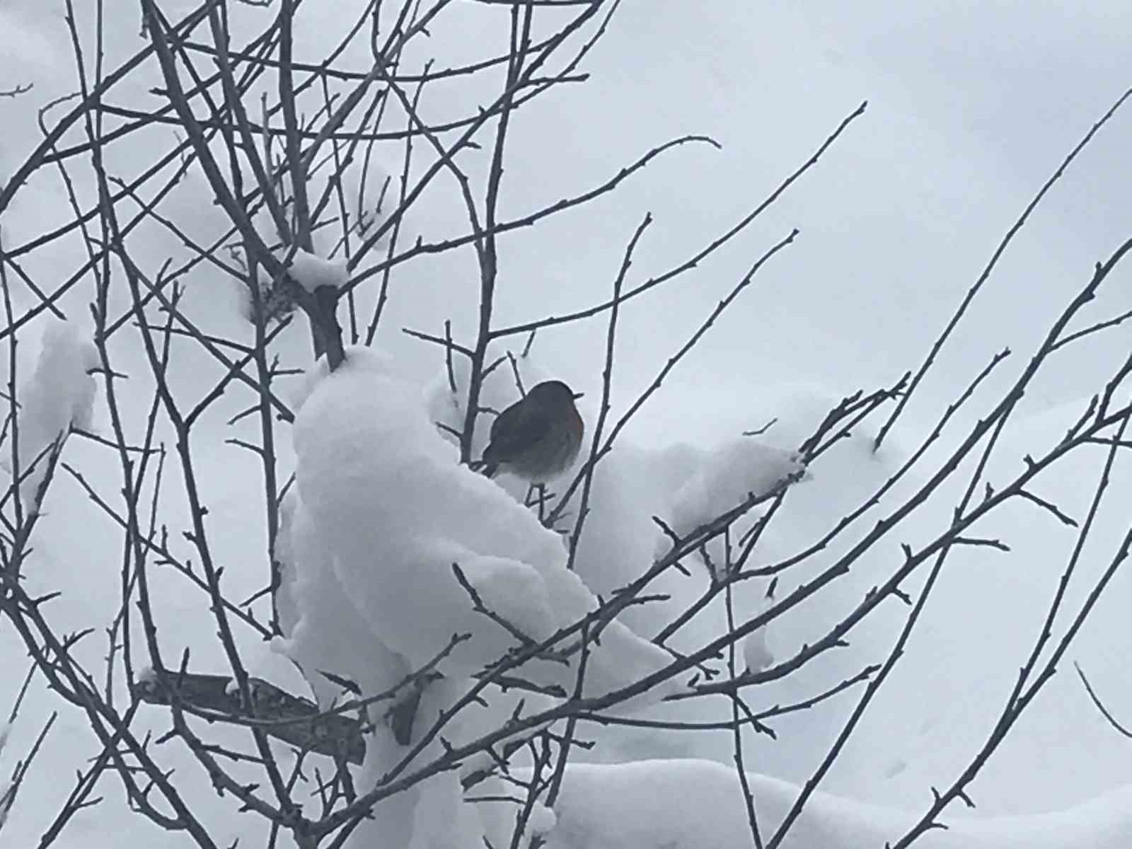Antalya’nın zirvelerinde Nisan ayında kar sürprizi
