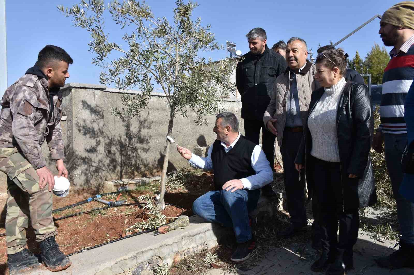 Antep fıstığı ve zeytin üreticilerine budama eğitimi
