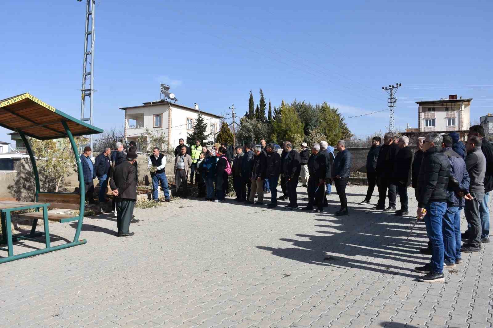 Antep fıstığı ve zeytin üreticilerine budama eğitimi
