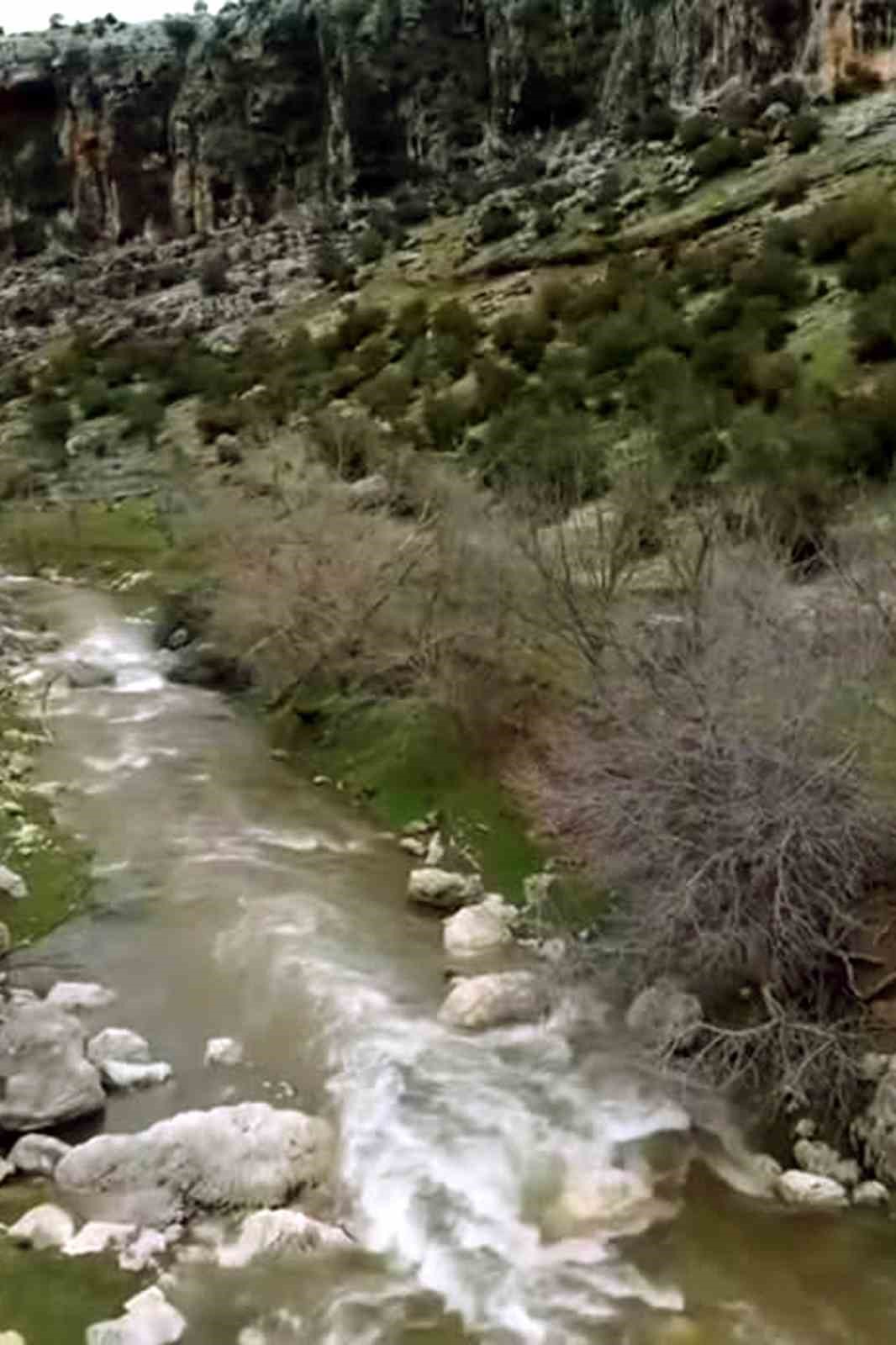 Araban’da kuruyan Ardıl Çayı yıllar sonra yeniden akmaya başladı
