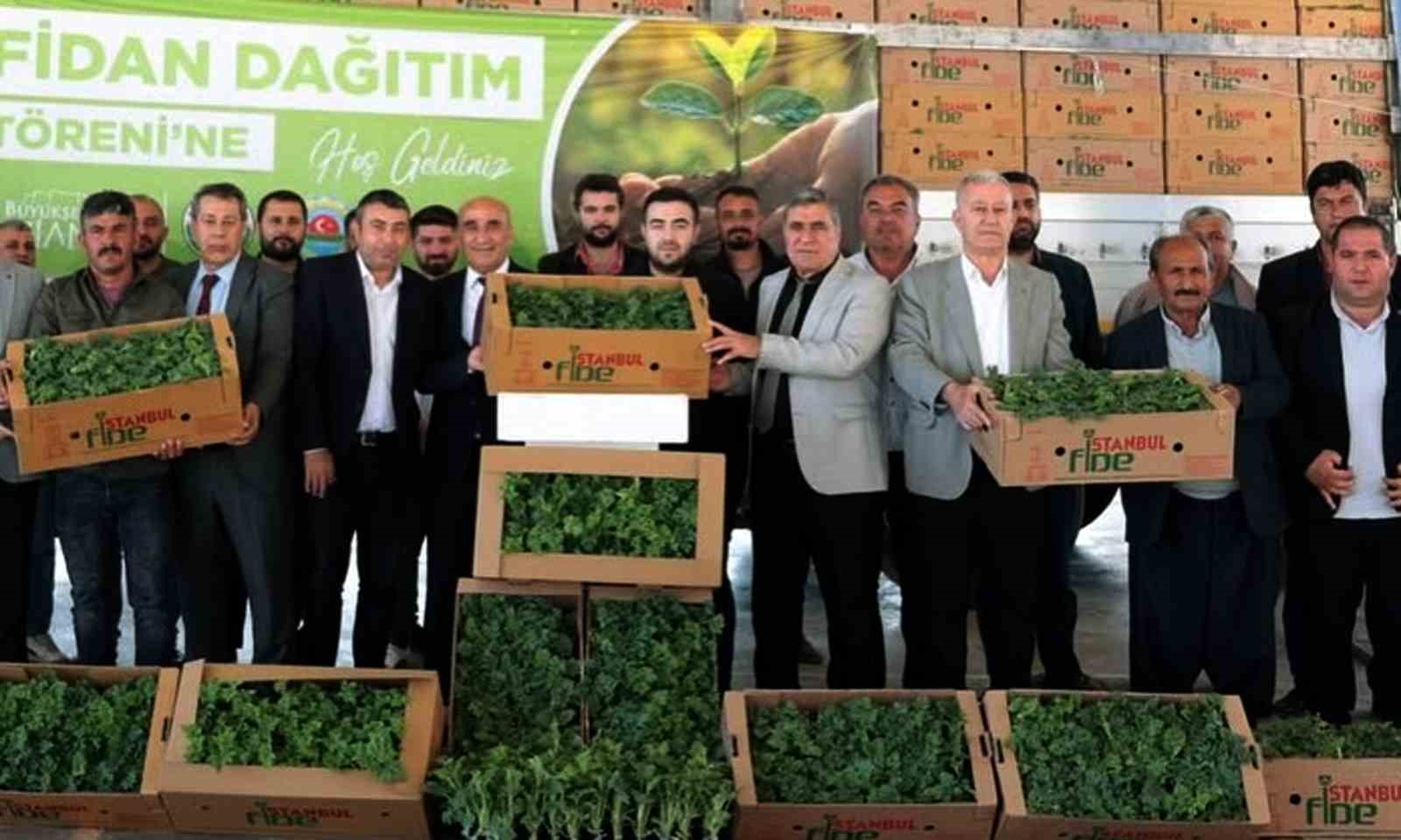 Arabanlı karpuz üreticisi çiftçilere yüzde 50 hibeli fide desteği
