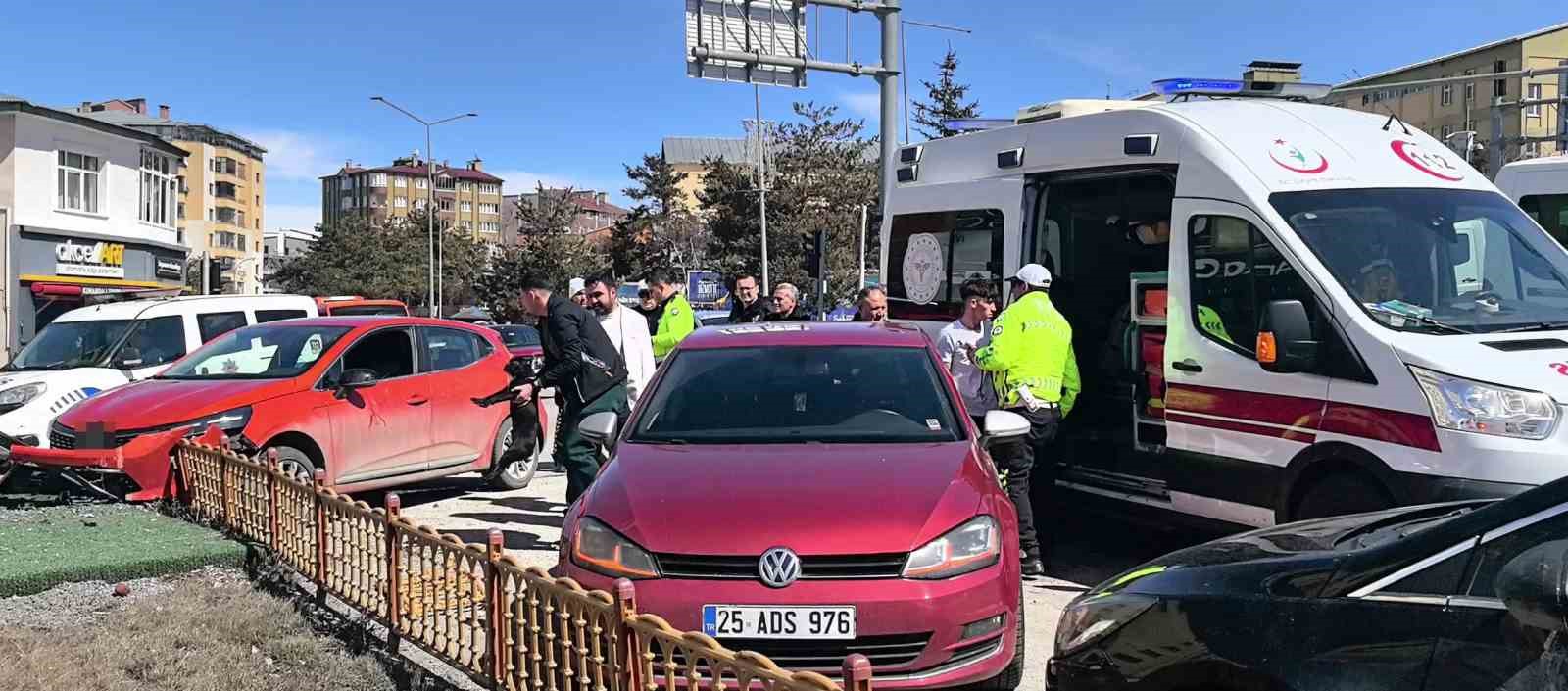 Araç içerisindeki köpek üzerine atlayınca direksiyon hakimiyetini kaybetti

