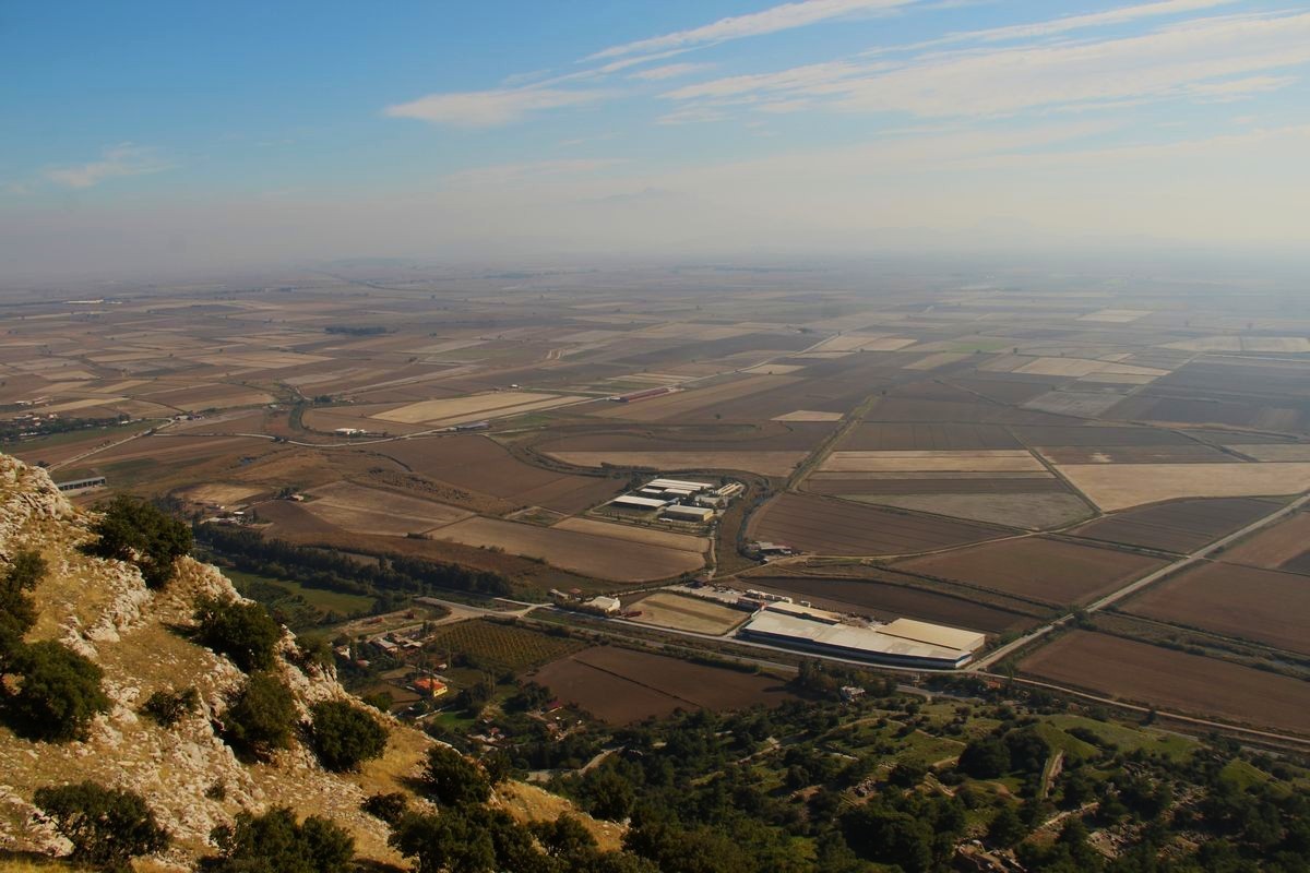 Aracın çarptığı porsuk telef oldu
