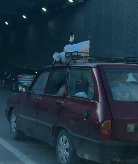 Aracın üzerindeki kazın ilginç yolculuğu kameraya yansıdı
