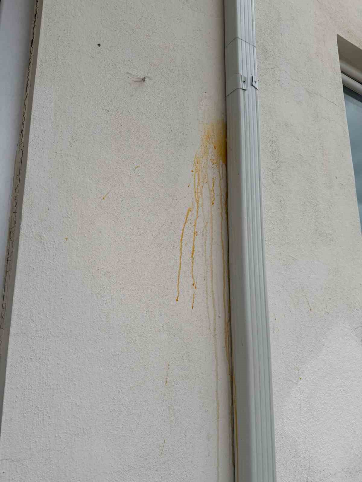 Araçlara ve binalara yumurta frlatan çocuklar vatandaşı rahatsız ediyor
