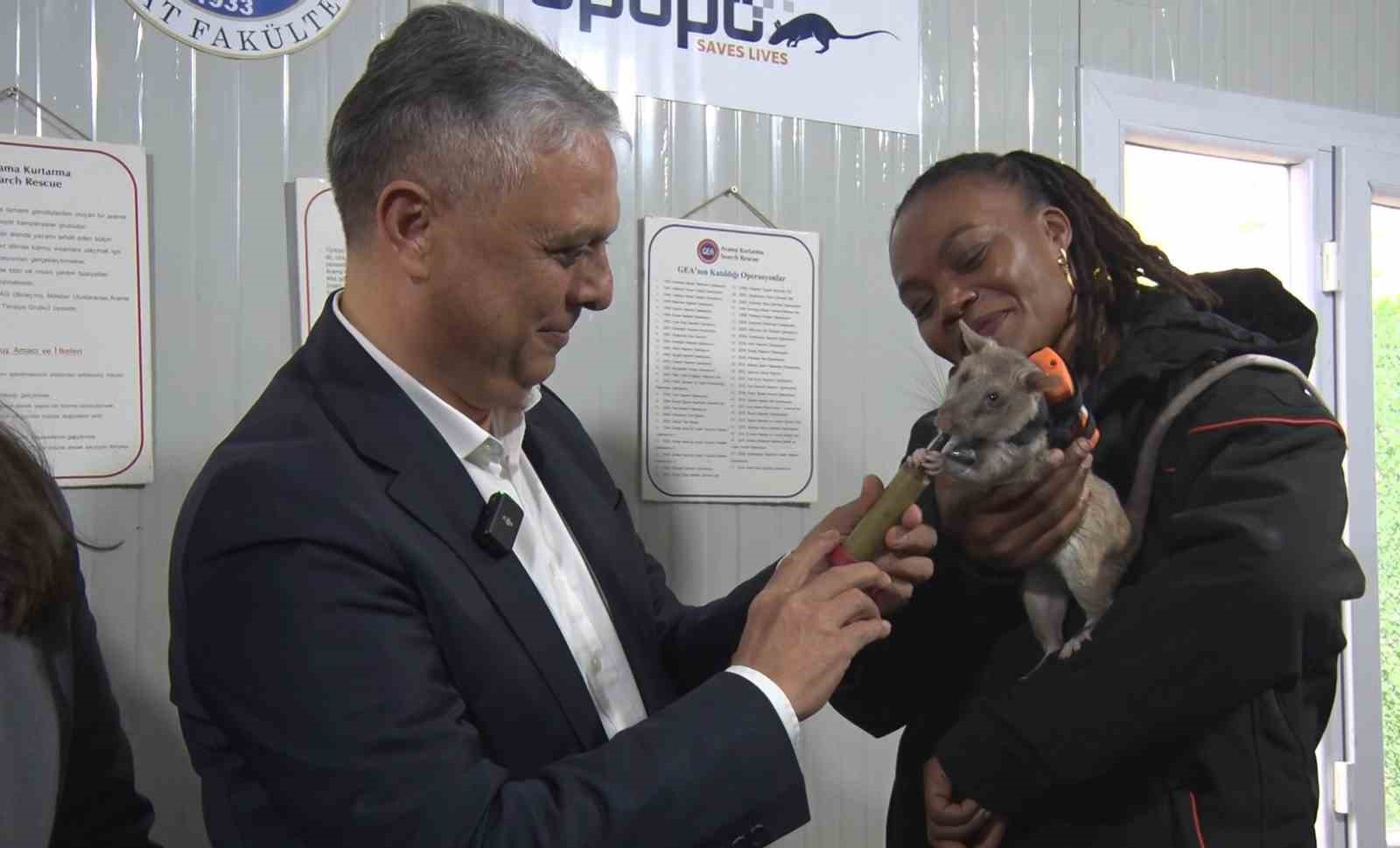 Arama kurtarmada yeni dönem: Enkaz altında kalanları kahraman fareler kurtaracak
Arama kurtarmada yeni dönem: Enkaz altında kalanları kahraman fareler kurtaracak