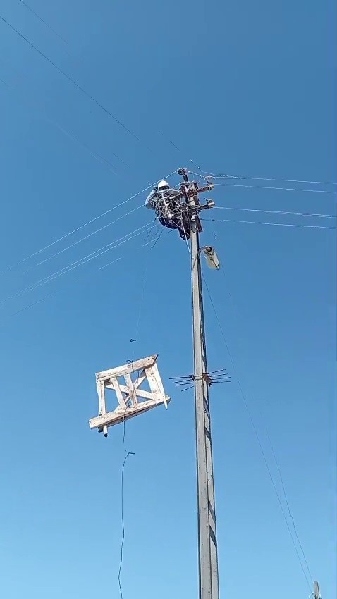 Aras Elektrik’ten doğa dostu adım: Fırtınada zarar gören leylek yuvaları yeniden yerine yerleştirildi
