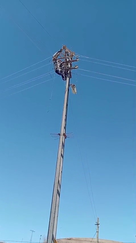 Aras Elektrik’ten doğa dostu adım: Fırtınada zarar gören leylek yuvaları yeniden yerine yerleştirildi
