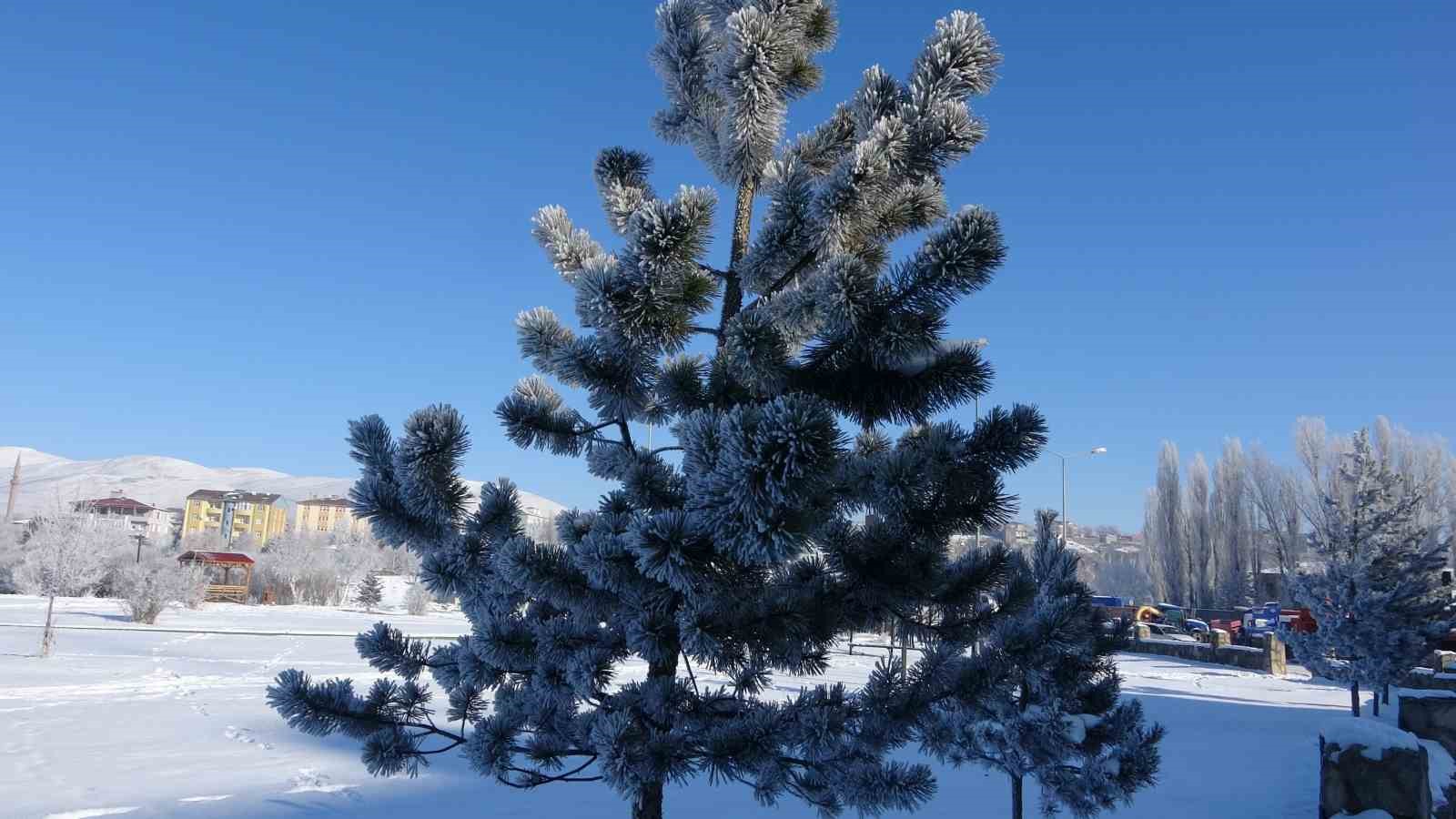 Ardahan dondu; Göle eksi 39,7’yi gördü
Ardahan dondu; Göle eksi 39,7’yi gördü