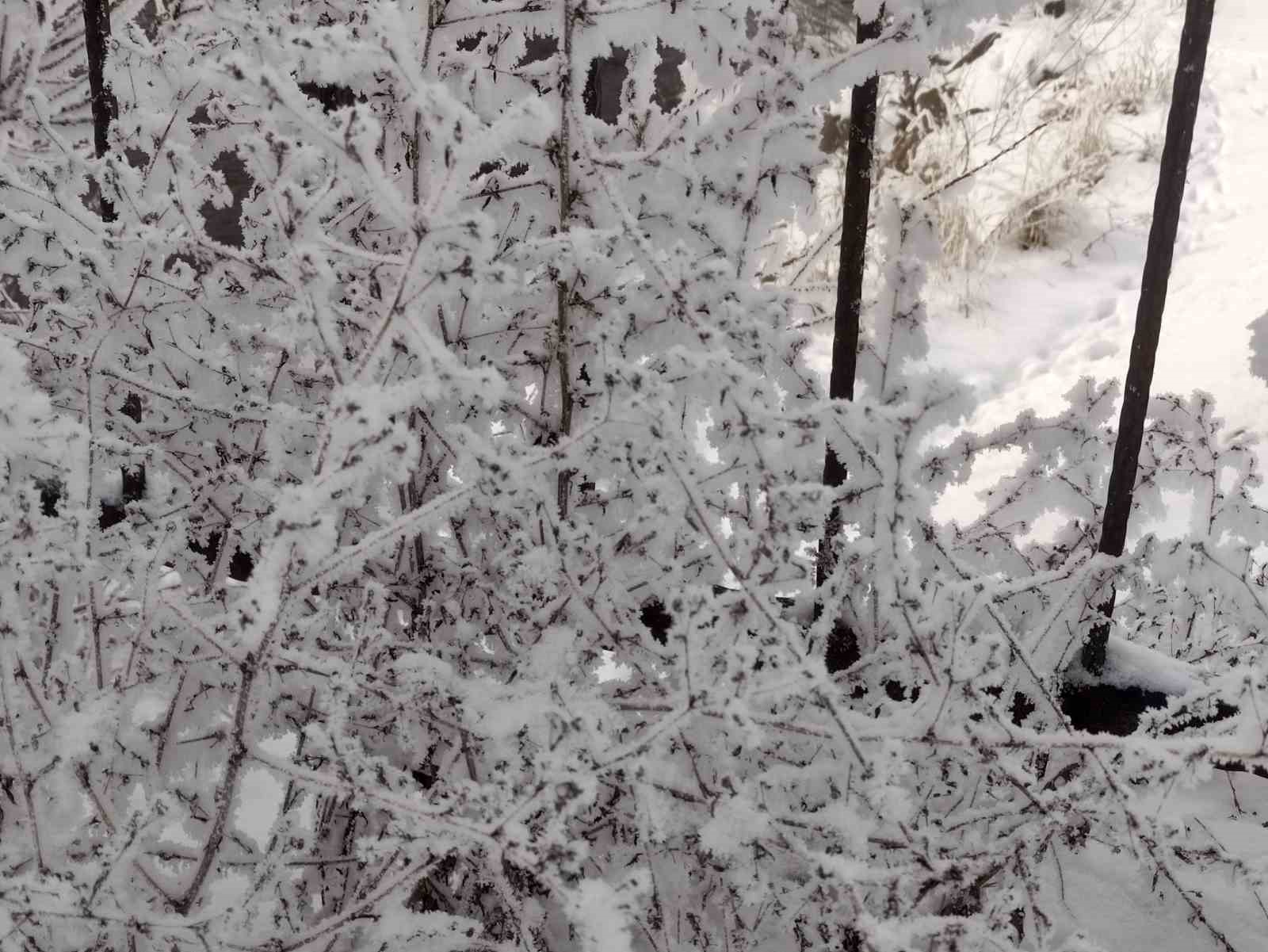 Ardahan’da dondurucu soğuklar etkili oldu
