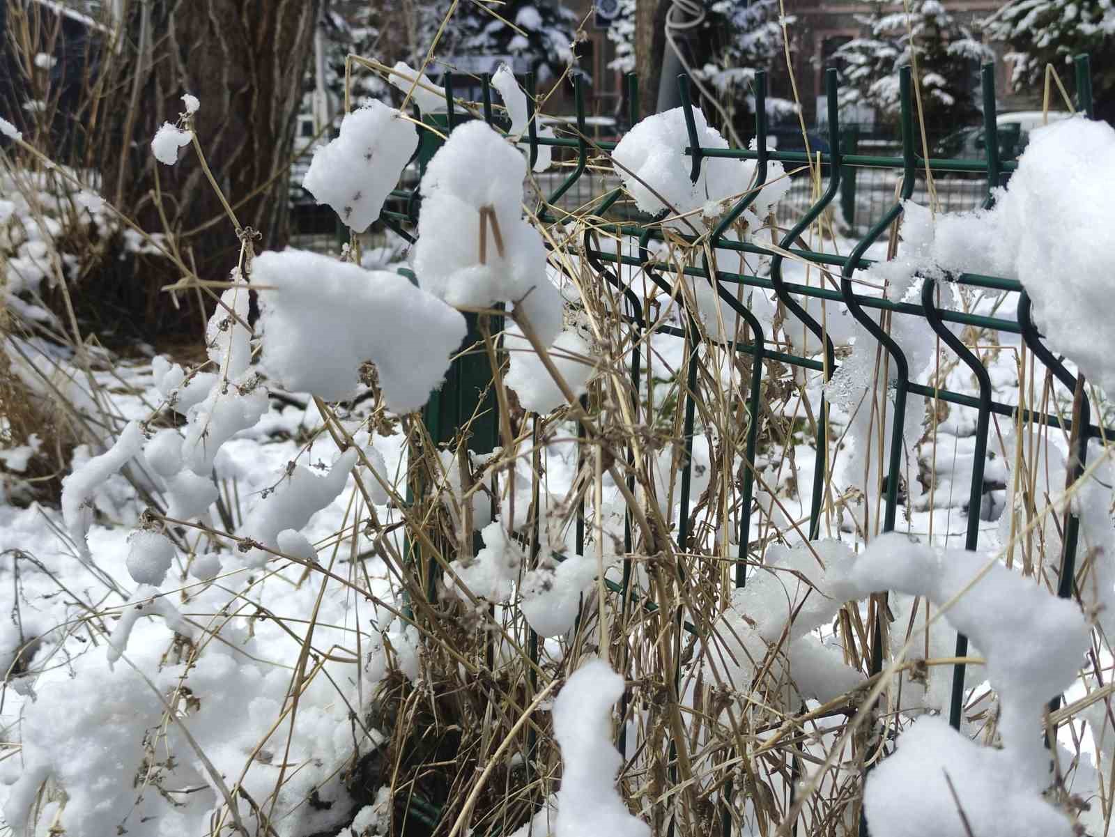 Ardahan’da kar kartpostallık görüntüler sundu
