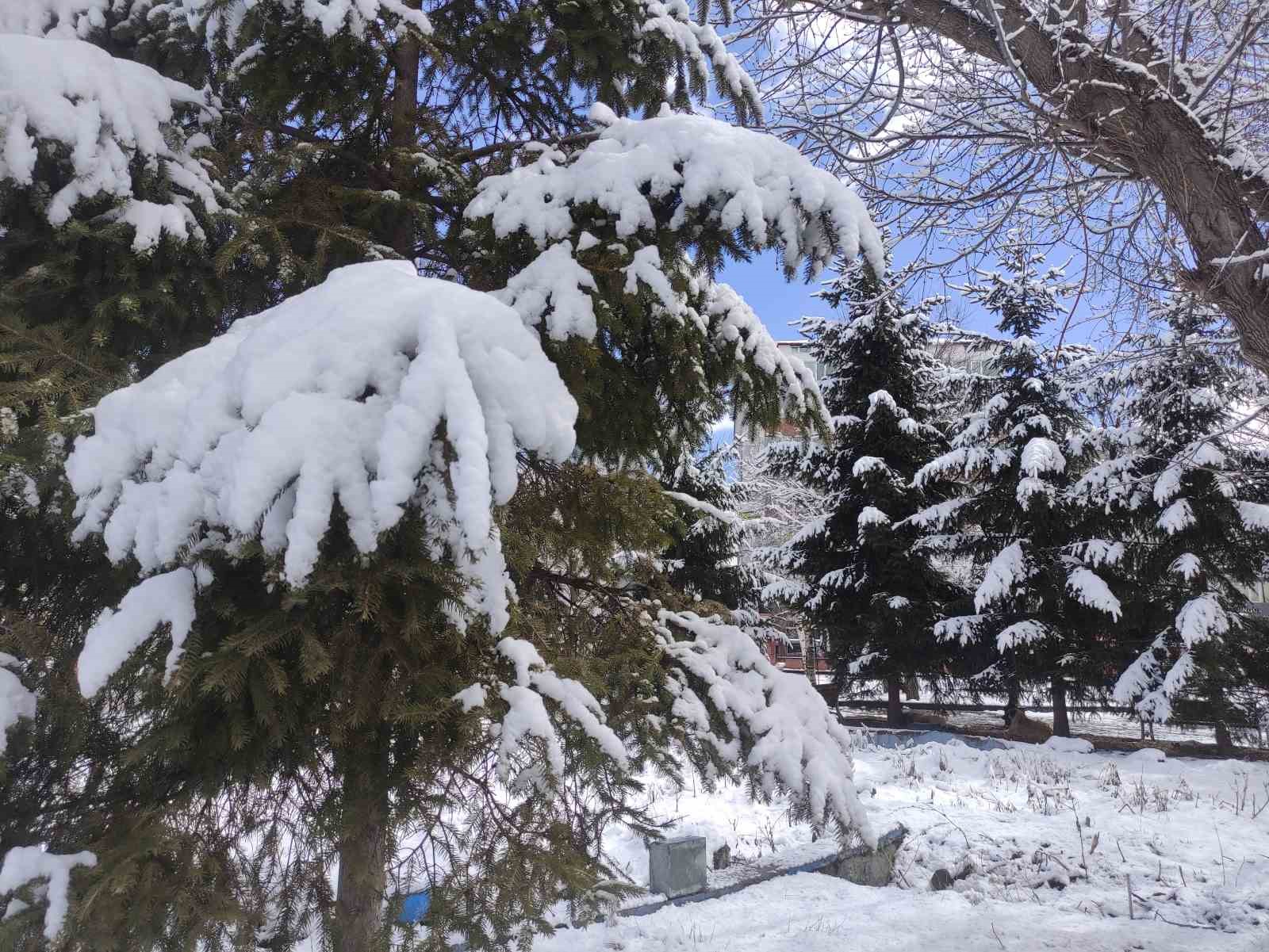 Ardahan’da kar kartpostallık görüntüler sundu
