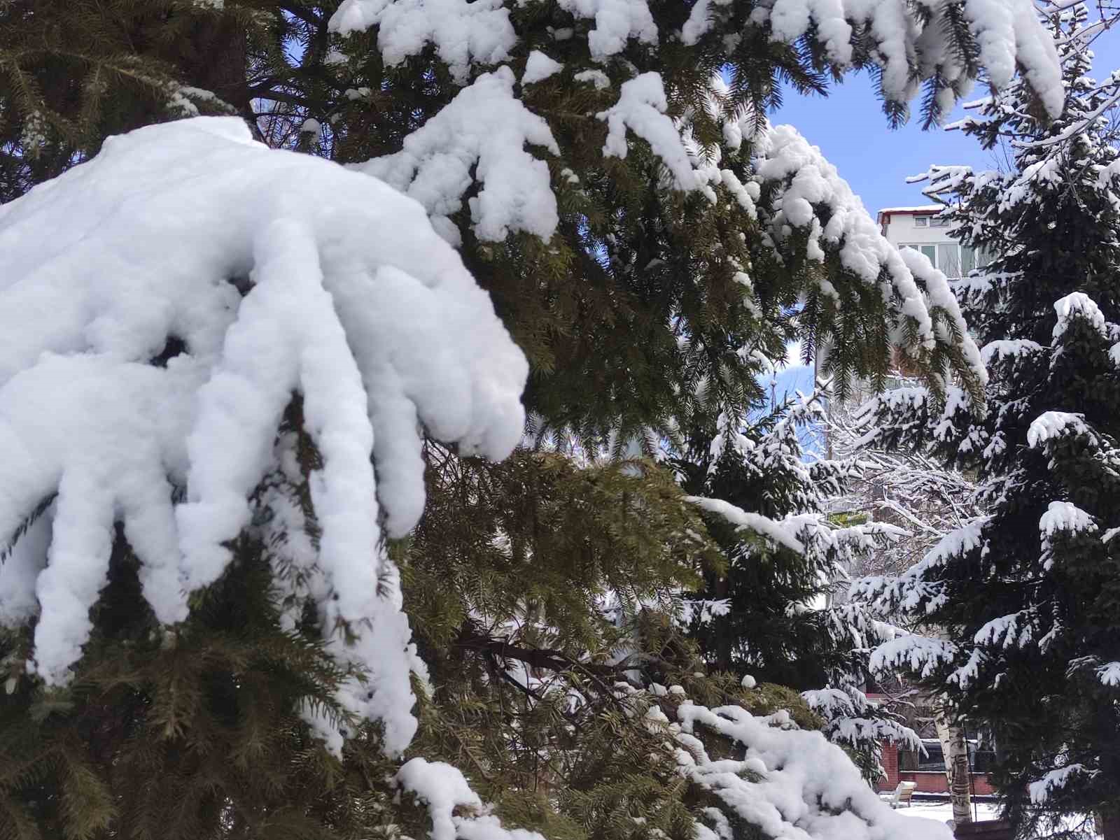 Ardahan’da kar kartpostallık görüntüler sundu
