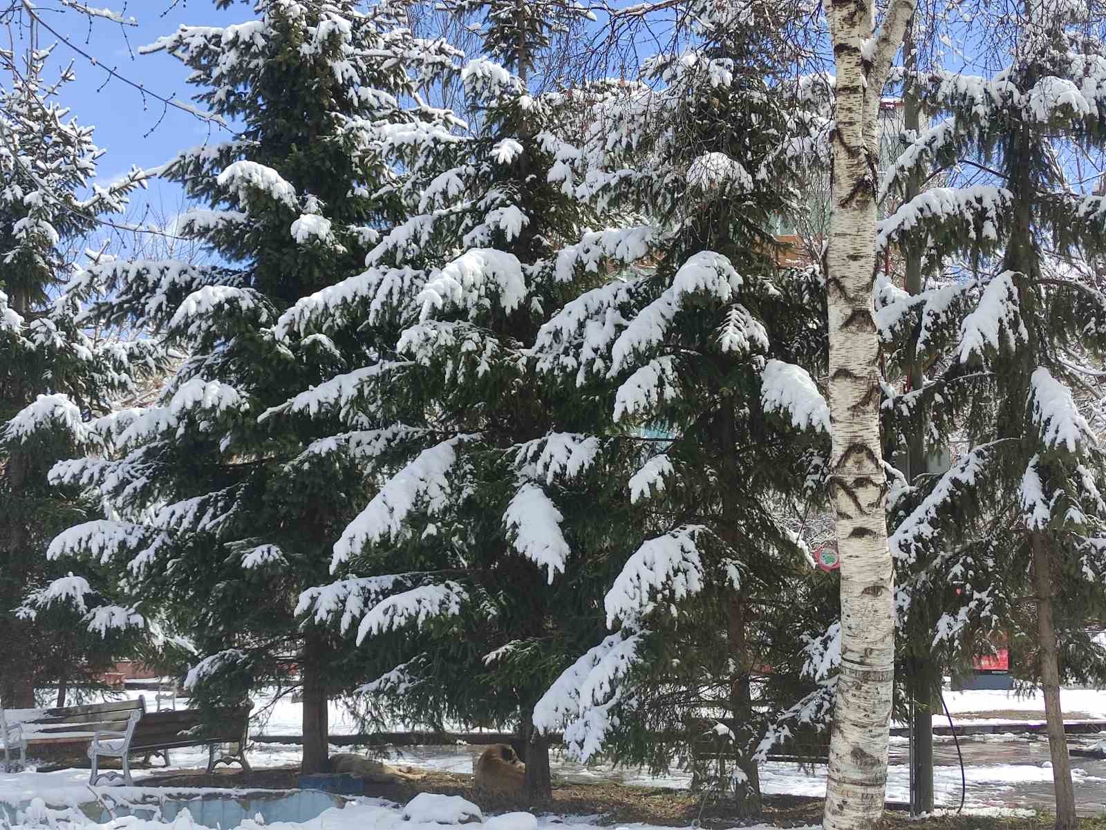 Ardahan’da kar kartpostallık görüntüler sundu
