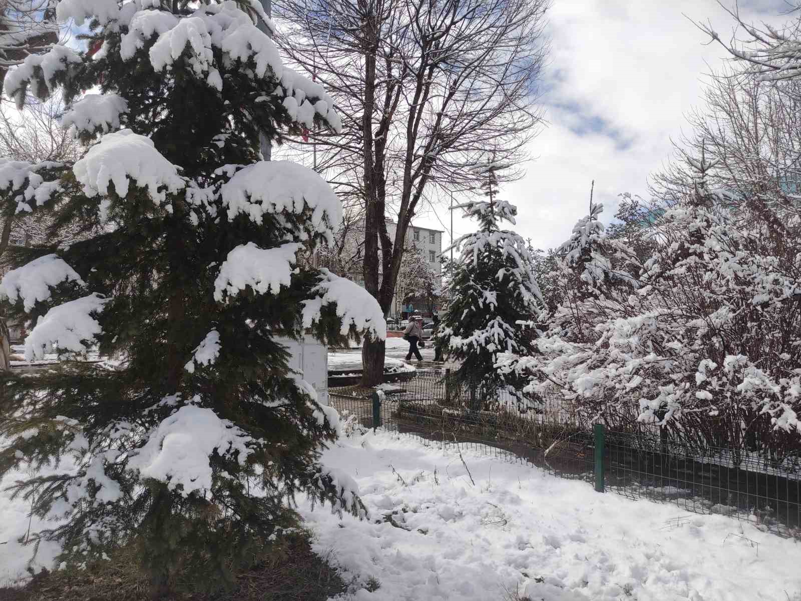 Ardahan’da kar kartpostallık görüntüler sundu
