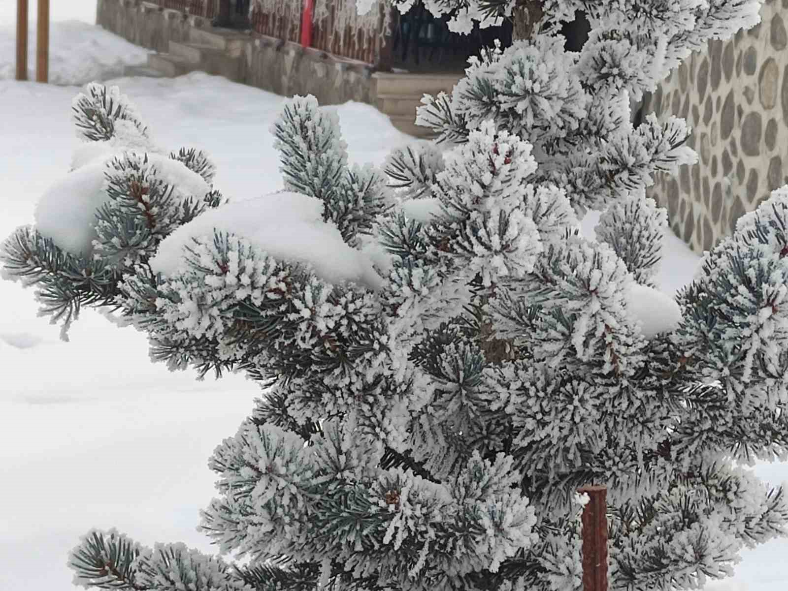 Ardahan’da kar sonrası dondurucu soğuklar etkili oldu
