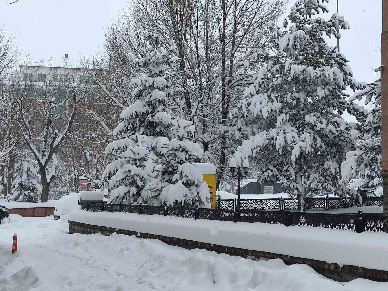 Ardahan’da kar yağışı yeniden başladı
