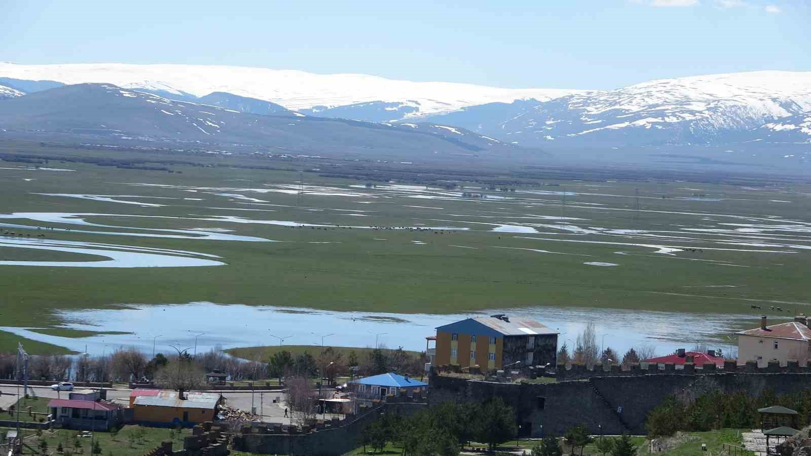 Ardahan’da Kura Nehri’nin debisi yükseldi
