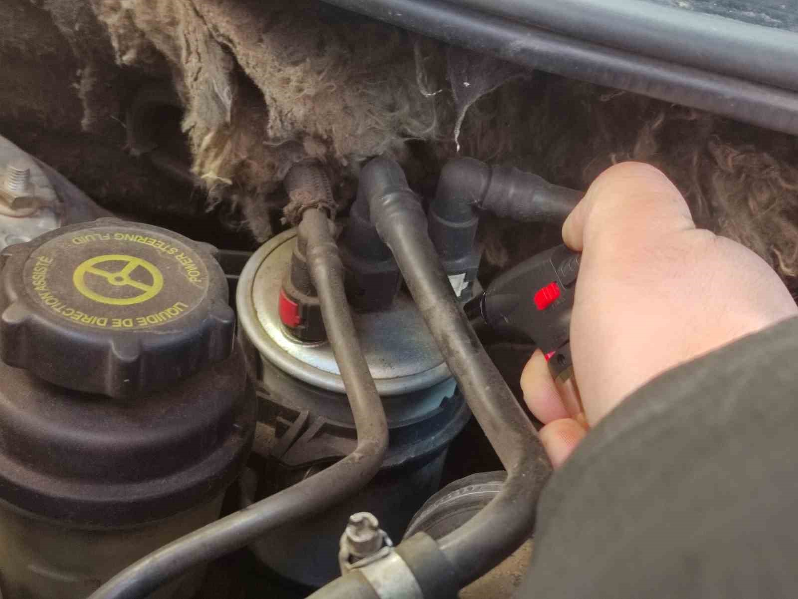 Ardahan’da Sibirya soğukları başladı, Göle eksi 36’yı gördü
