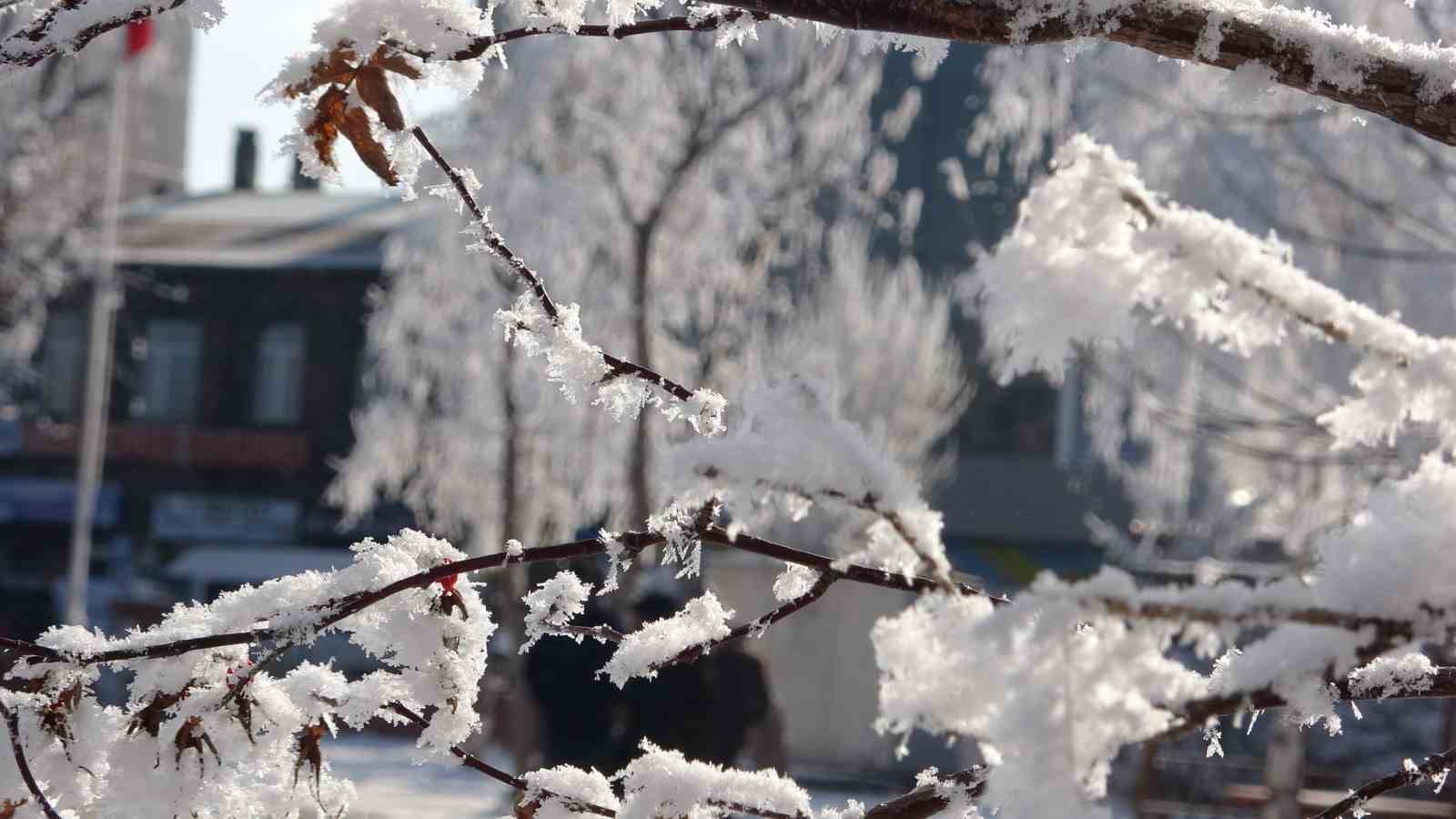 Ardahan’da Sibirya soğukları devam ediyor
