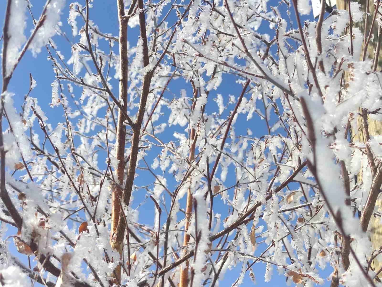 Ardahan’da Sibirya soğukları hayatı olumsuz etkiliyor
