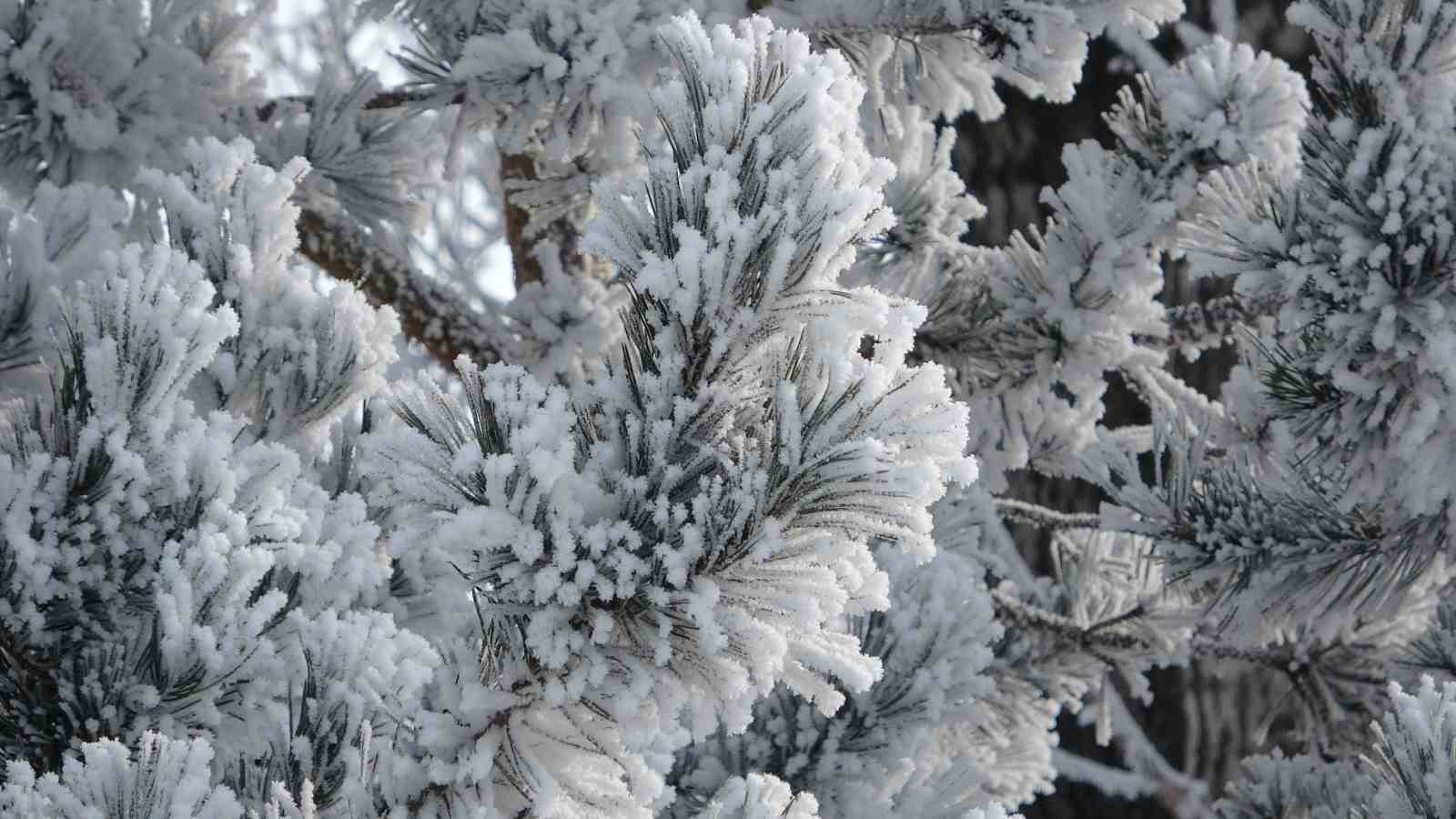 Ardahan’ın Göle ilçesi Türkiye’nin en soğuk yerleşim yeri oldu
